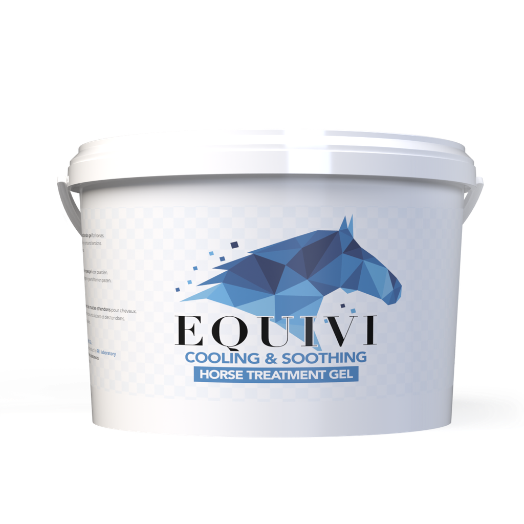 Equivi - Ice Cold Gel 2500ml